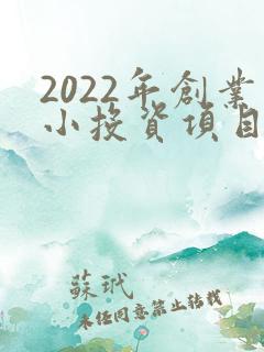 2022年创业小投资项目推荐