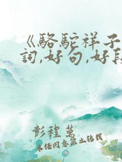 《骆驼祥子》好词,好句,好段