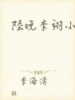 陆晚李翊小说
