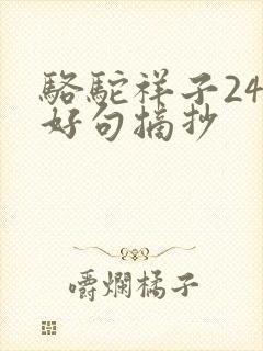 骆驼祥子24章好句摘抄
