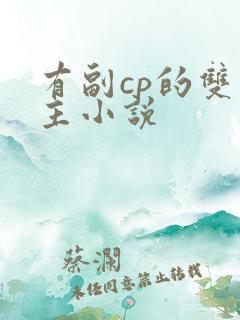 有副cp的双男主小说