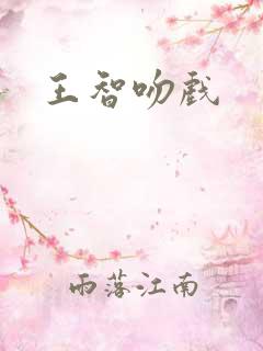 王智吻戏
