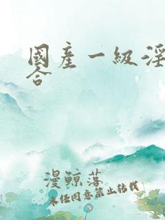 国产一级淫片综合