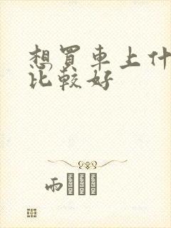 想买车上什么网比较好