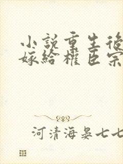 小说重生后绝不嫁给权臣宗肆在线阅读