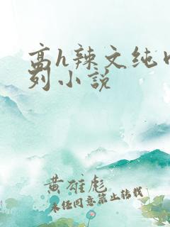 高h辣文纯肉系列小说 高h辣文纯肉系列小说