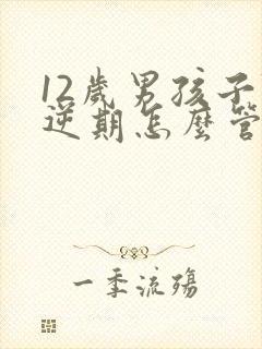 12岁男孩子叛逆期怎么管教最合适