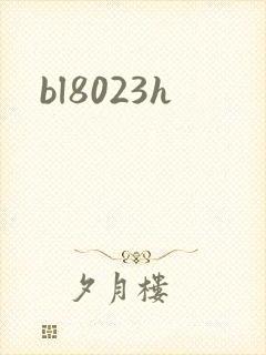 bl8023h