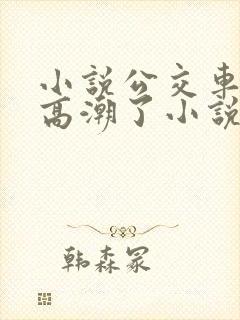 小说公交车被上高潮了小说