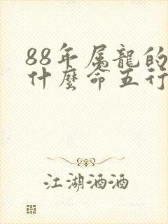 88年属龙的是什么命五行属什么
