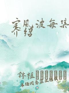 定风波每集剧情介绍