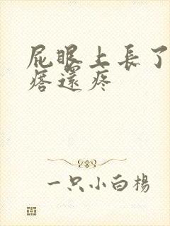 屁眼上长了个疙瘩还疼 屁眼上长了个疙瘩还疼