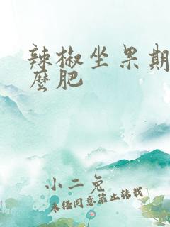 辣椒坐果期用什么肥