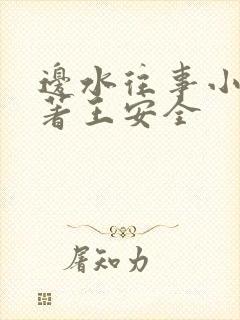 边水往事小说原著王安全
