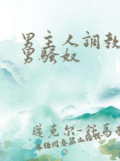 男主人调教中国男骚奴