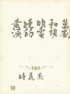 黄晓明和万茜主演的电视剧