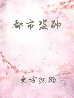 都市盗帅