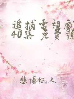 追捕电视剧 共40集 免费观看