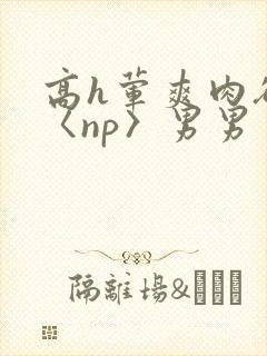 高h荤爽肉欲文〈np〉男男