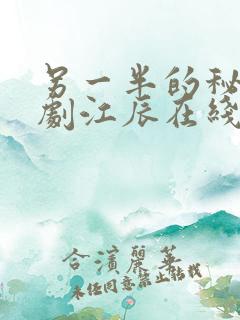 另一半的秘密短剧江辰在线观看