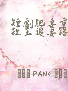短剧肥妻重生摄政王追妻路漫漫