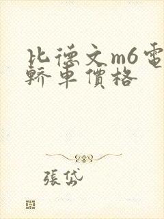 比德文m6电动轿车价格