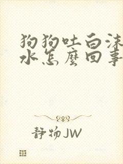 狗狗吐白沫吐黄水怎么回事