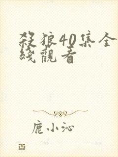杀狼40集全在线观看