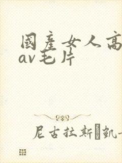 国产女人高潮的av毛片