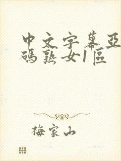 中文字幕亚洲乱码熟女1区