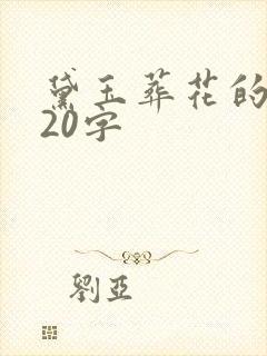 黛玉葬花的概括20字