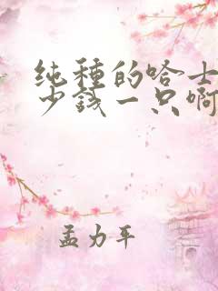 纯种的哈士奇多少钱一只啊