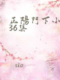 正阳门下小女人36集