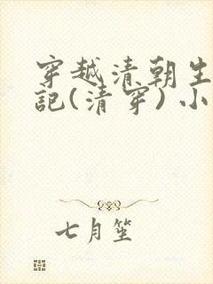 穿越清朝生活手记(清穿) 小说