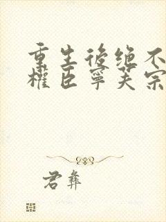 重生后绝不嫁给权臣宁芙宗肆全文小说