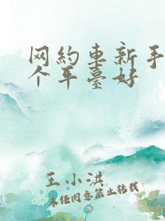 网约车新手跑哪个平台好