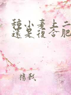 种小麦上二铵好还是复合肥好