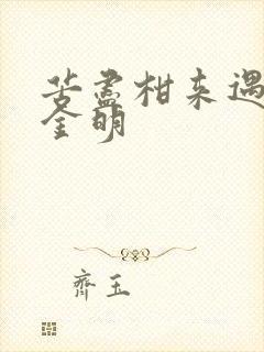 苦尽柑来遇见你金明