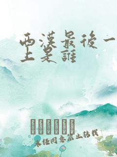 西汉最后一个皇上是谁