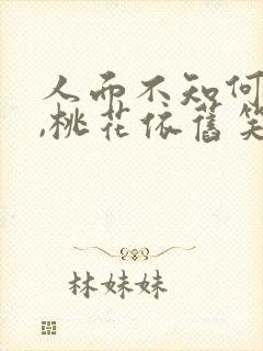 人面不知何处去,桃花依旧笑春风.什么意思