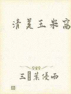 清美玉米窝窝头