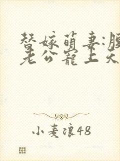 替嫁萌妻:腹黑老公宠上天