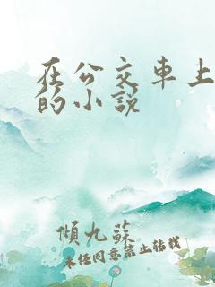在公交车上被c的小说
