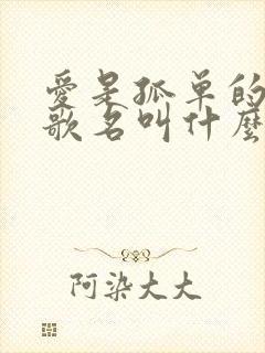 爱是孤单的心事歌名叫什么歌 爱是孤单的心事歌名叫什么歌