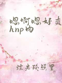 嗯啊嗯好爽啊高hnp肉