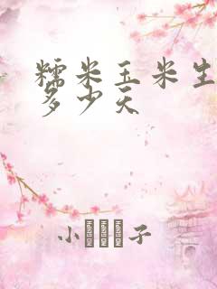 糯米玉米生长期多少天