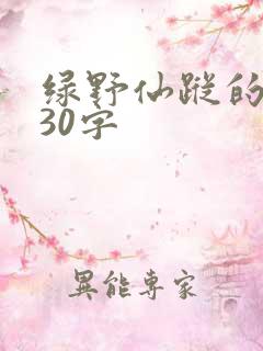 绿野仙踪的感悟30字