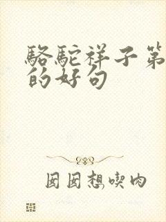 骆驼祥子第6章的好句