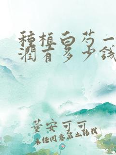 种植白芍一亩利润有多少钱