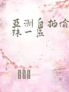 亚洲自拍偷拍丝袜一区
